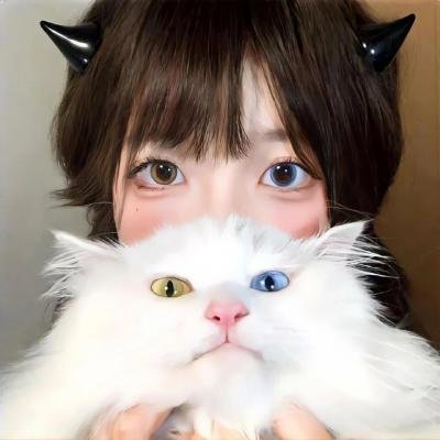 龙珠Z剧场版10：两人面临危机! 超战士难以成眠